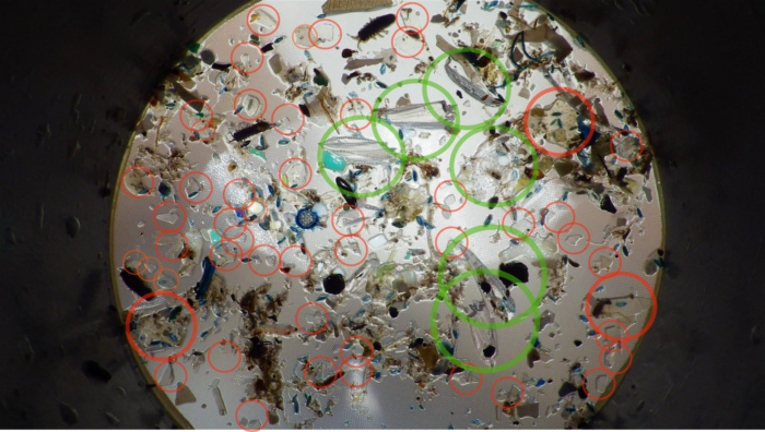 Expedition MED microplastique transparent avec plancton